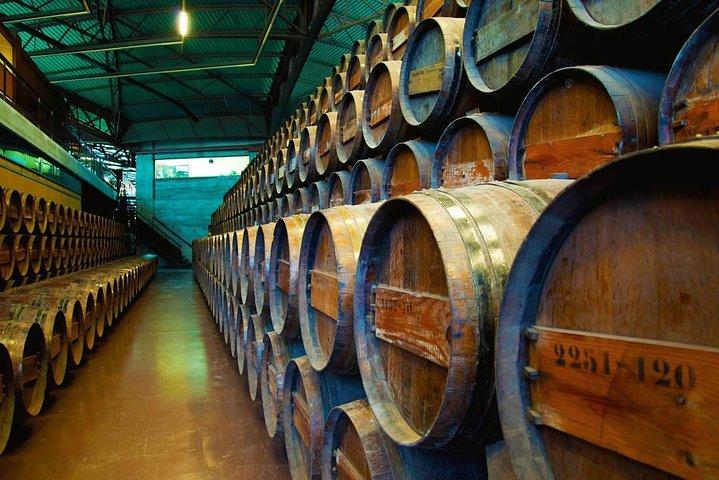 Private Tour Arrábida Sesimbra With Wine tasting From Lisbon