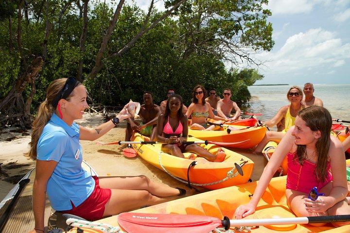 Key West's Island Adventure Sandbar Tour with Kayaking