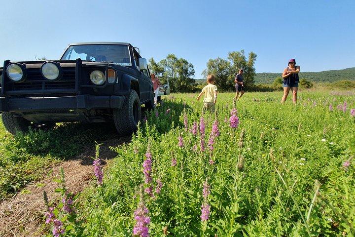 Konavle Jeep Safari Tour from Cavtat with Lunch