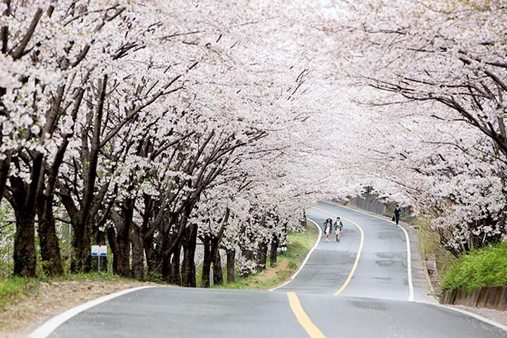 Best 7 day Korea tour in small group with local food experience