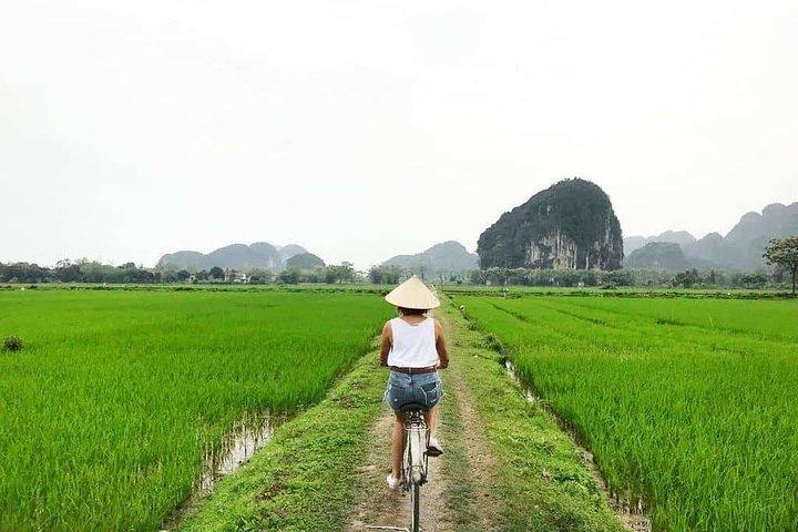 Hoa Lu - Tam Coc - Mua Cave 1 day trip
