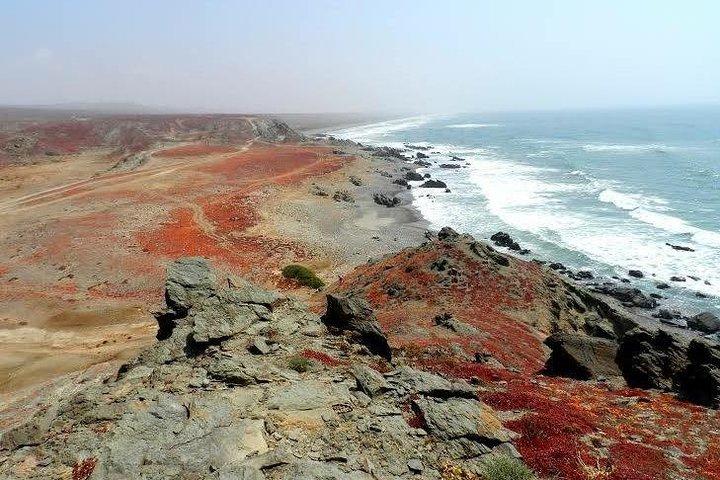 Lagzira day trip from Agadir