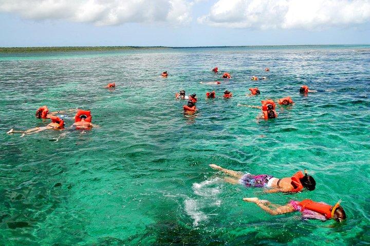 Catalina Island DayTrip + Great Snorkeling