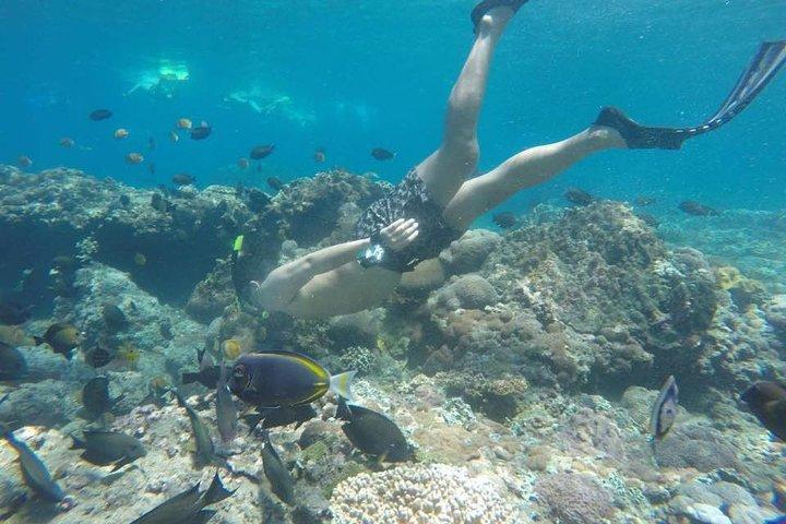 Bali Snorkeling Tour at Blue Lagoon Beach - All-Inclusive