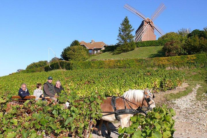 Champagne Day Trip from Paris with 4 Tastings, Reims & Cellars