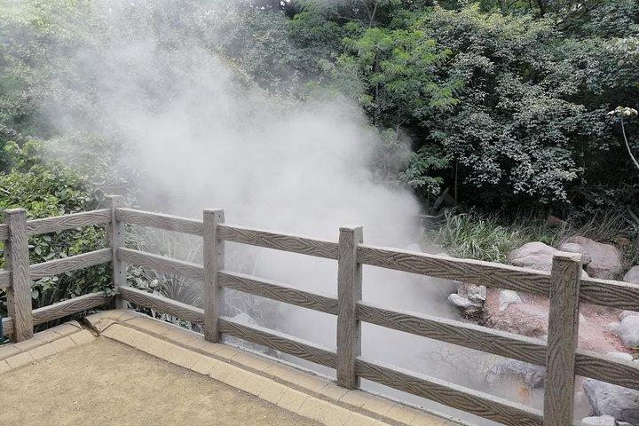Volcano-Waterfall and Hot Springs Private Tour