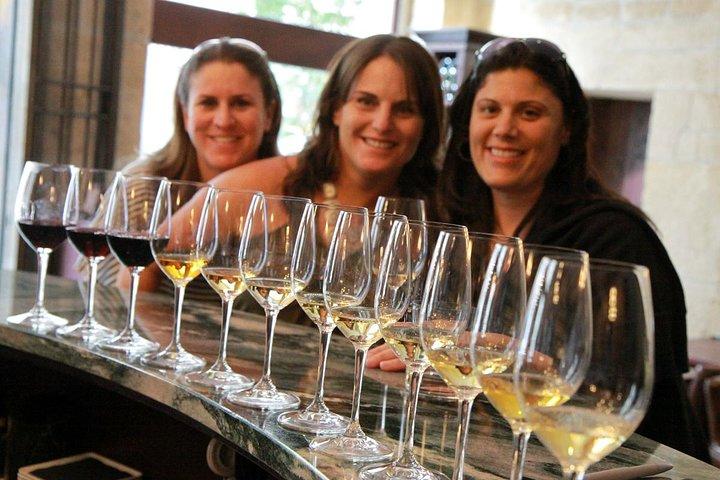 Champagne Day Trip from Paris with 4 Tastings, Reims & Cellars