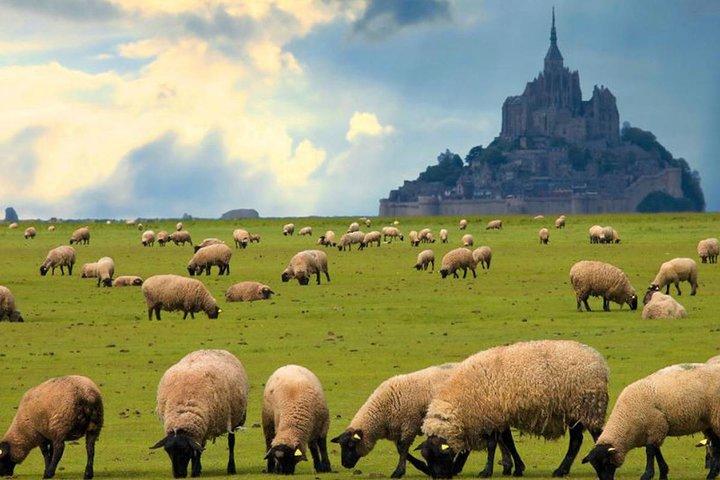 Mont Saint-Michel Day Trip from Paris with Abbey Ticket