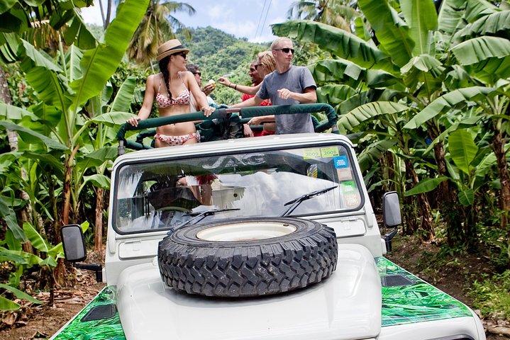 Rainforest Hike & Waterfall Safari St. Lucia From Castries