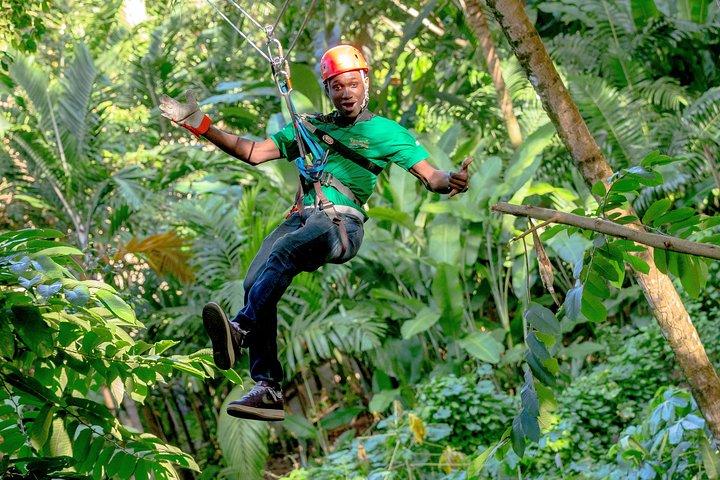 Treetop Zipline Experience From Castries