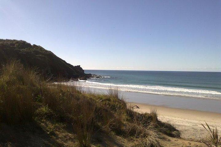2 Hour Surf Lesson - Te Arai Beach