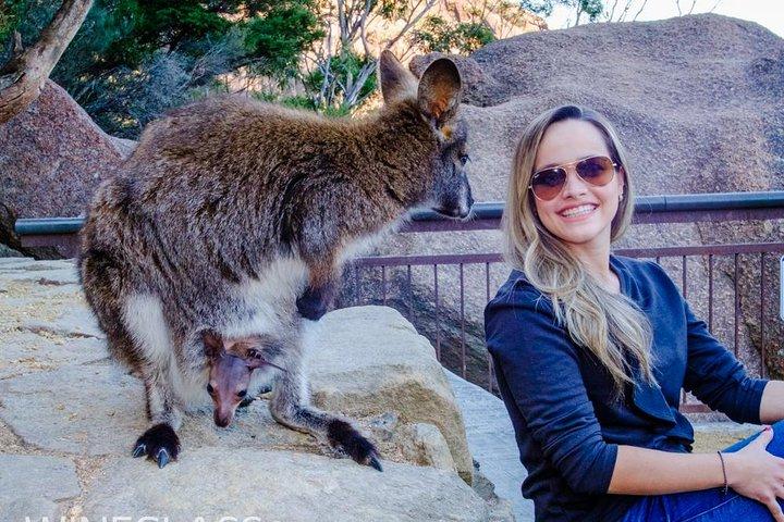 Full-Day Tour to Wineglass Bay from Hobart