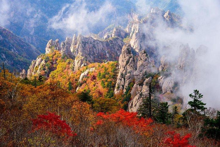 Mt. Seoraksan National Park Autumn Foliage Day Tour from Seoul