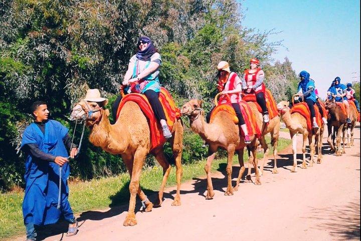 5 Valleys Atlas mountains day trip from Marrakech with camel ride