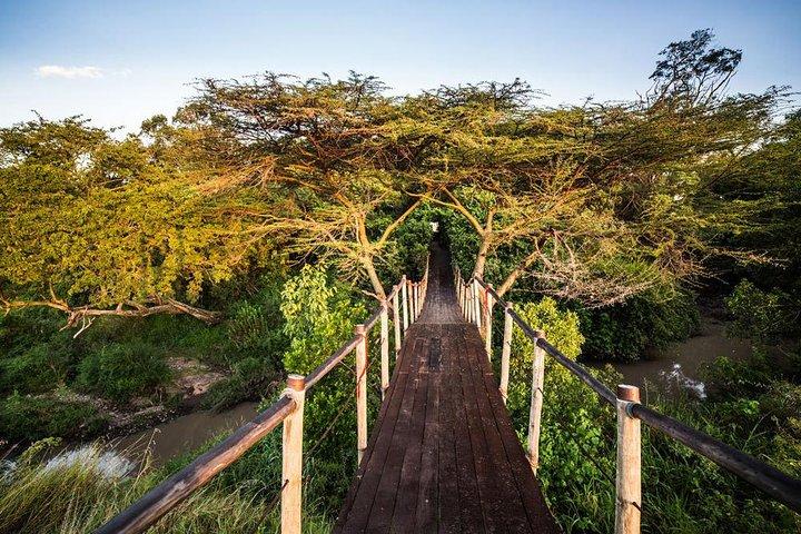12 Days Honeymoon safari in Kenya