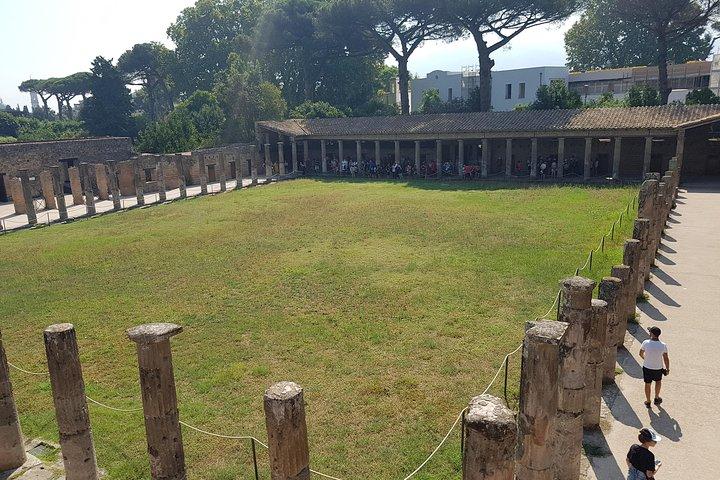Pompeii & Naples Private Day Tour from Rome with Entry Tickets