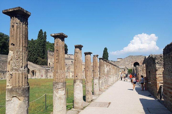 Pompeii & Naples Private Day Tour from Rome with Entry Tickets