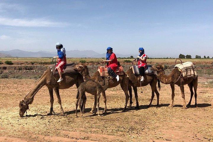 Berber Villages 3 Valleys & Camel ride Atlas Mountains Day Trip