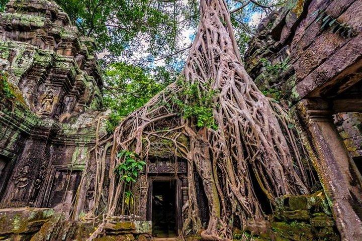 Angkor wat and Small group temples Full day tours