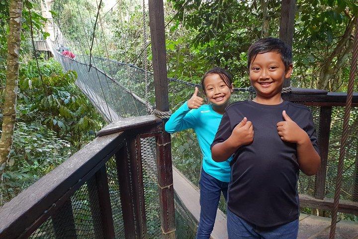 Private Desa Dairy Farm, Kinabalu National Park, Hot Spring & Canopy Walk Tour