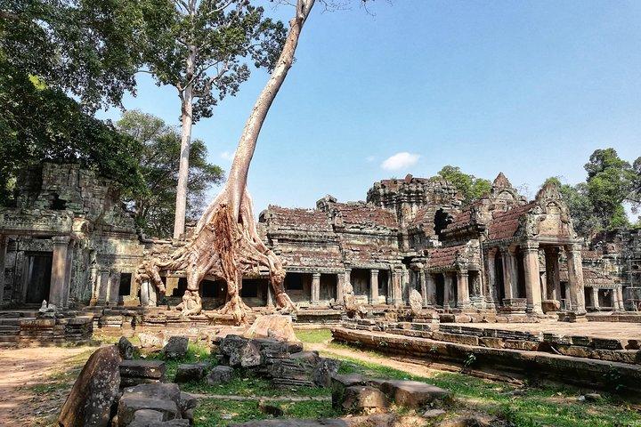 Private Sunrise Angkor Tour