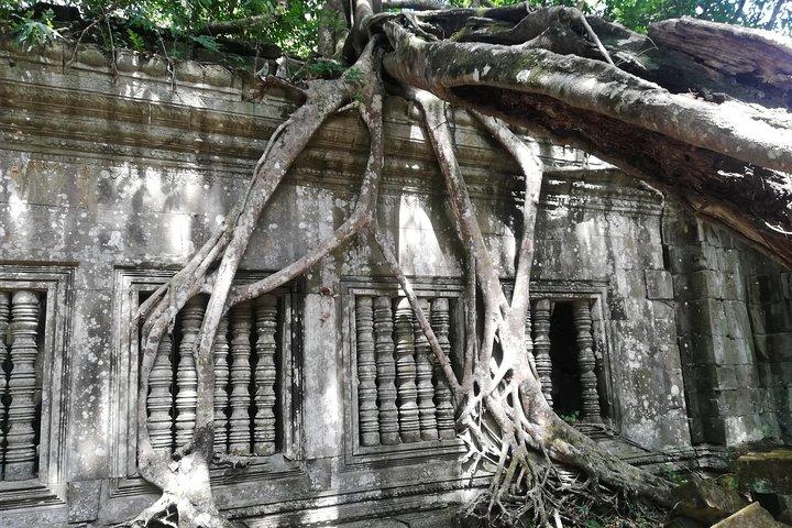 Private Sunrise Angkor Tour