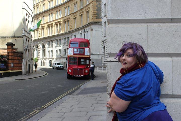 London Harry Potter Private Walking Tour (Unofficial)