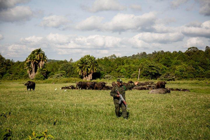 A Day Trip In Arusha National Park From Arusha Town