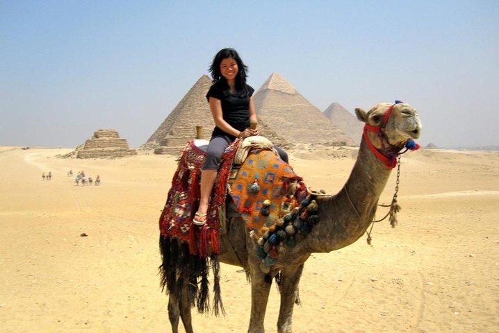Cairo Layover Tours To Giza Pyramids Egyptian Museum Bazaar Sound And Light Show