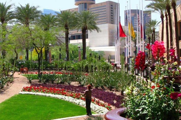 Private Phoenix and Scottsdale Half-Day City Tour