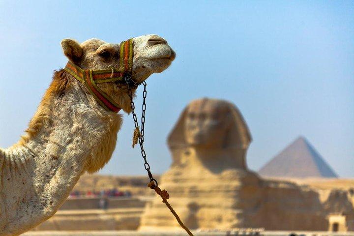 Tour to Pyramids, Sakkara & Dahshur