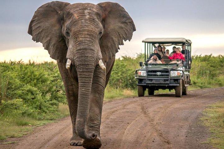 7 Day Garden Route + Addo Safari with Cape Point & Cape Winelands
