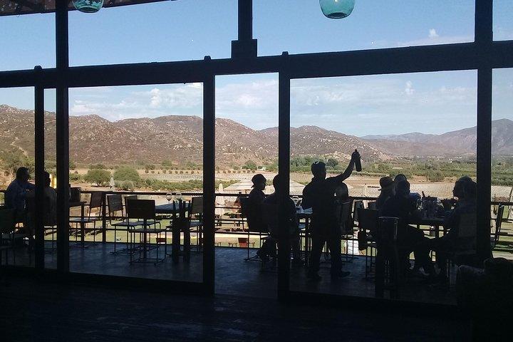 wine tours and driver service through valle de guadalupe, Ensenada B.C. Mexico