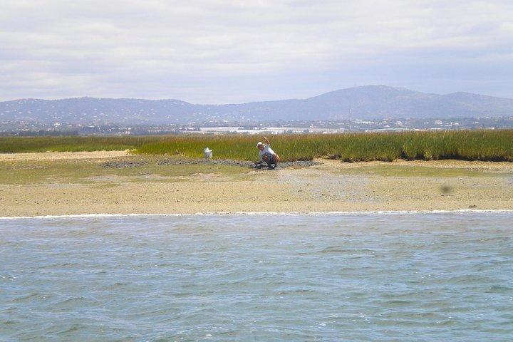 Short boat trip of the Algarve's Ria Formosa lagoon from Faro: 1 hour