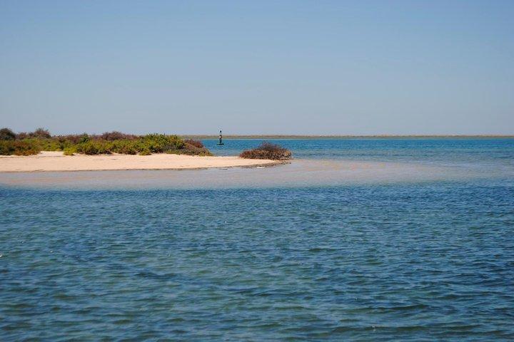 Short boat trip of the Algarve's Ria Formosa lagoon from Faro: 1 hour