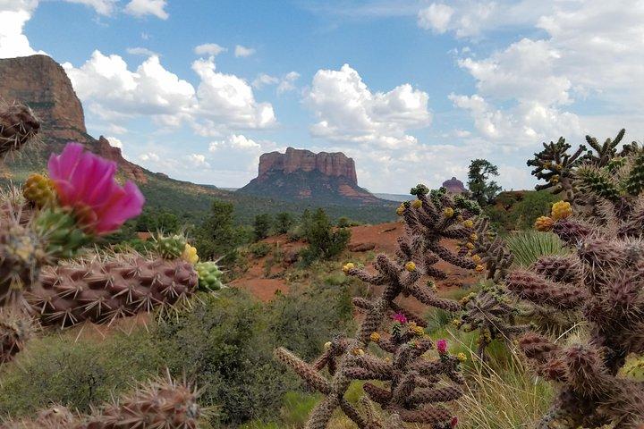 Sedona and Grand Canyon Full-Day Tour