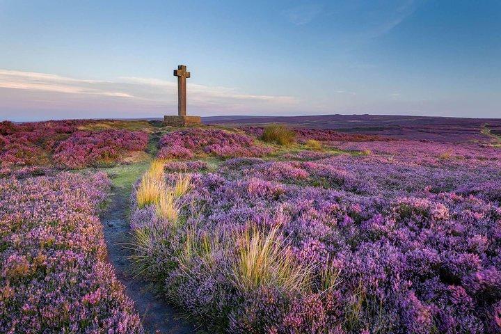 Moors, Whitby & The Yorkshire Steam Railway Day Trip from York