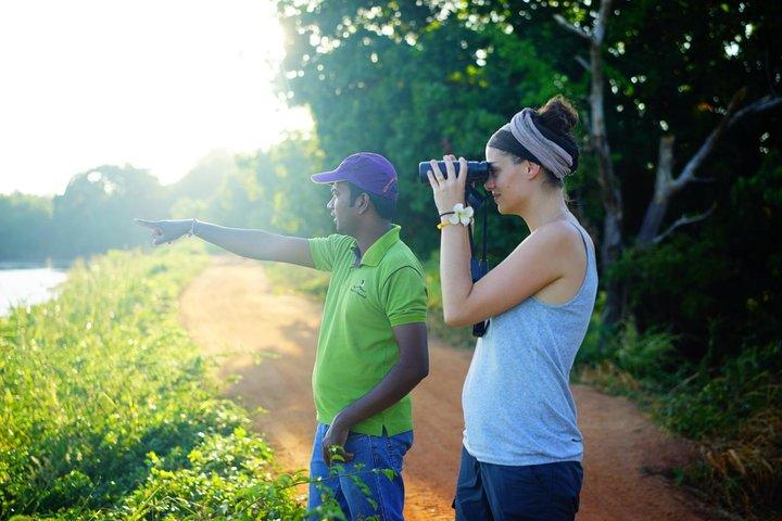 Sigiriya Cycle Tour: Explore Village Life in Sigiriya & Enjoy a Village Lunch