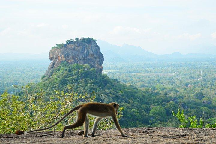 Guided Hike & Picnic with an Amazing View on Pidurangala Rock