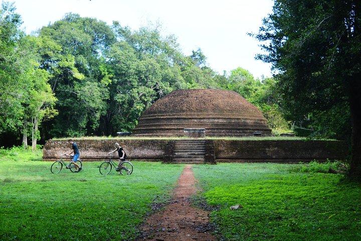 Sigiriya Cycle Tour: Explore Village Life in Sigiriya & Enjoy a Village Lunch