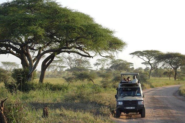 Day Tour to Arusha National Park