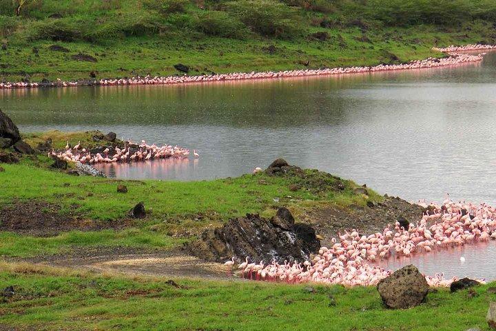 Day Tour to Arusha National Park