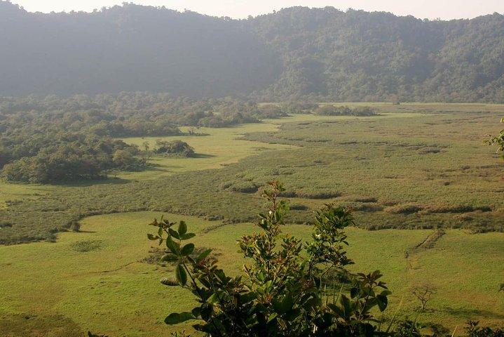 Day Tour to Arusha National Park