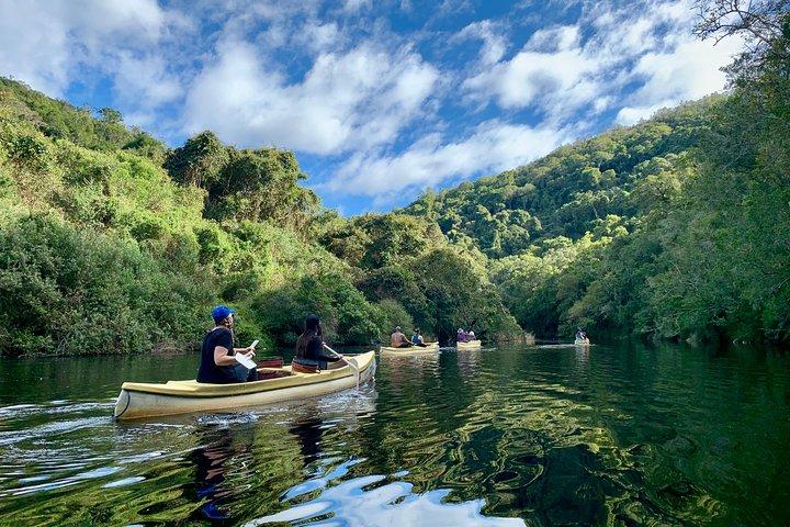 6-Day Garden Route & Addo South African Adventure from Cape Town