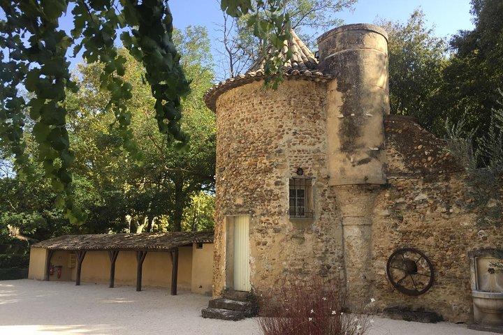 Côtes du Rhône Wine tour: Avignon, Palace of the Popes