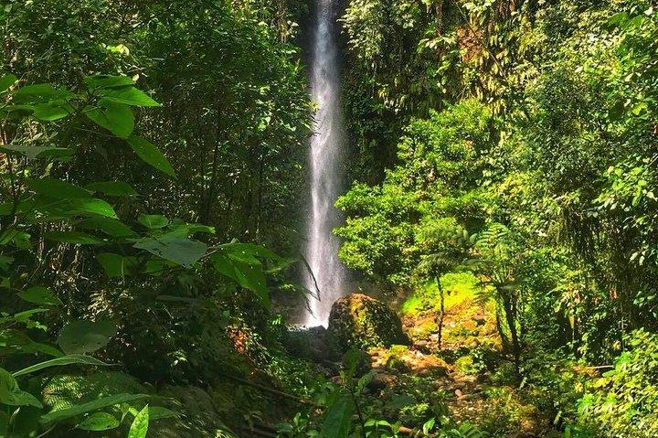 Amazon Tour in Ecuador: Puyo Day Trip from Baños