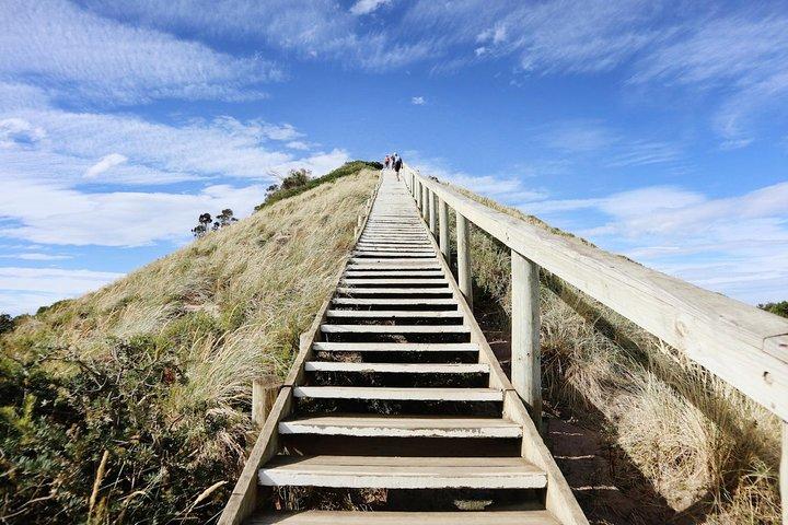 SHORE EXCURSION - Full-Day Guided Bruny Island Tour from Hobart
