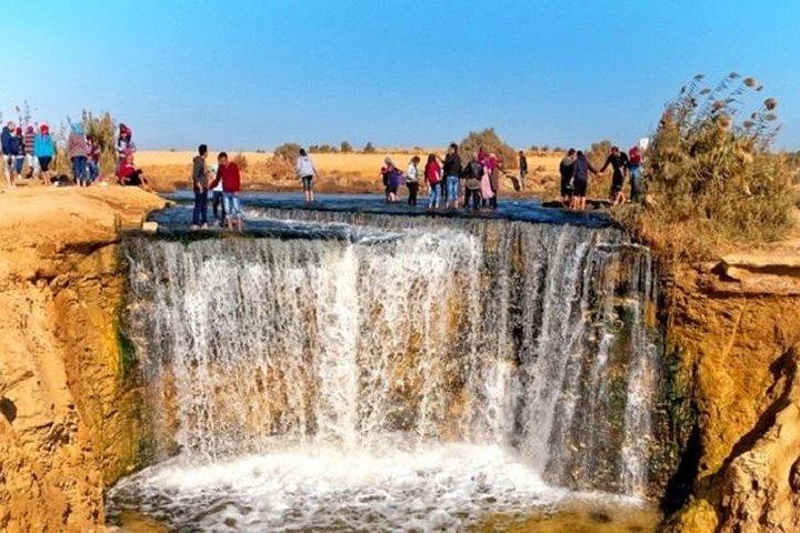 Private Tour To Fayoum Oasis, Valley Of The whales & Wadi Al Rian From Cairo.