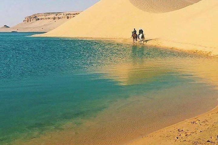 Private Tour To Fayoum Oasis, Valley Of The whales & Wadi Al Rian From Cairo.