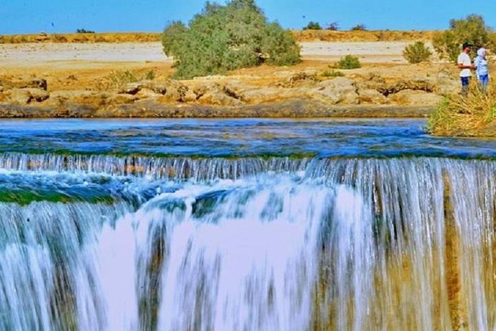 Private Tour To Fayoum Oasis, Valley Of The whales & Wadi Al Rian From Cairo.